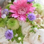 小学生のご入会ありがとうございました