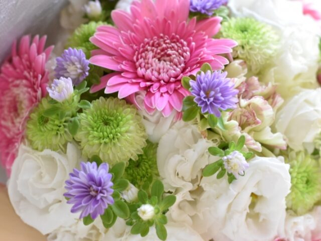 小学生のご入会ありがとうございました