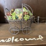 2026あけましておめでとうございます