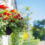 春の入会金無料キャンペーン開催します