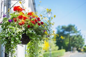 春の入会金無料キャンペーン開催します