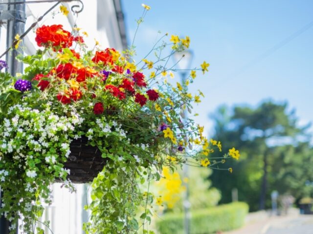 春の入会金無料キャンペーン開催します