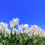 元生徒さんのお子様のご入会ありがとうございます