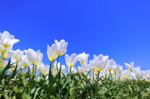 元生徒さんのお子様のご入会ありがとうございます