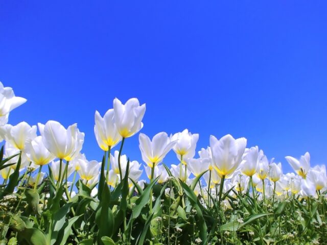 元生徒さんのお子様のご入会ありがとうございます